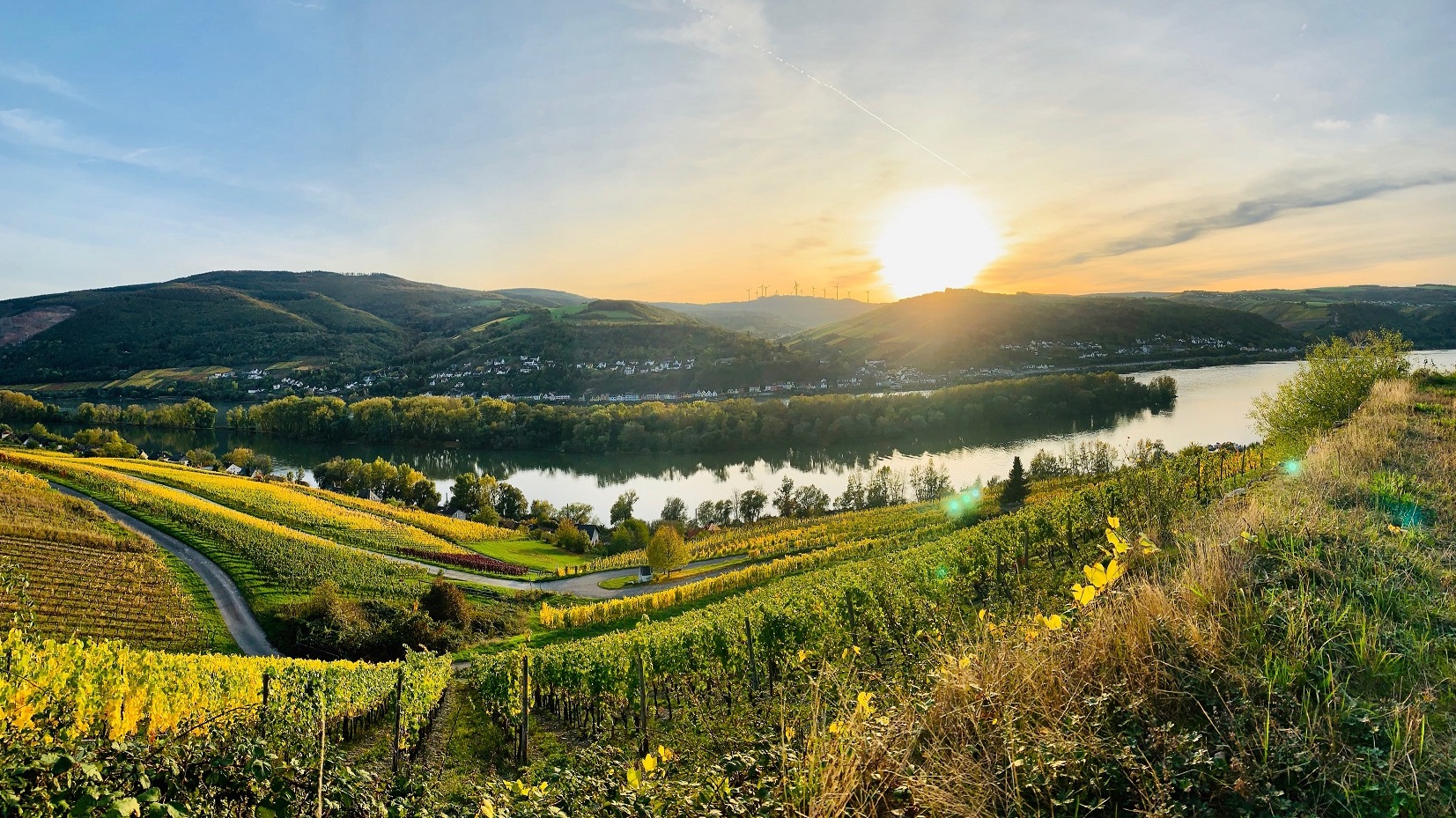 Indian Summer im Rheingau- Der Herbst überrascht jedes Jahr mit einem wunderbaren Naturschauspiel!